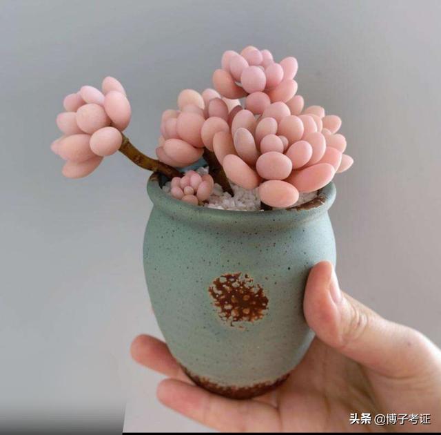 二建出考試時(shí)間了，大家開始學(xué)習(xí)了嗎？  第5張