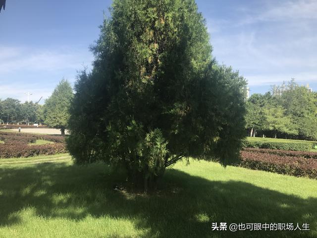 29歲通過了一級建造師一級造價師，我該選擇預(yù)算員還是施工員？  第2張