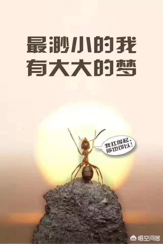 二級建造師就業(yè)前景如何？該報考嗎？  第1張